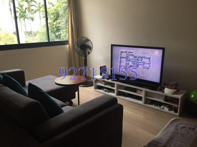 St. Thomas Court (D9), Apartment #137086872